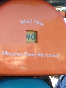 The shortest wait time in the park - 40 minutes for the Gadget's Go Coaster in Toon Town