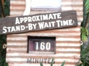 160 minute wait time for Indiana Jones